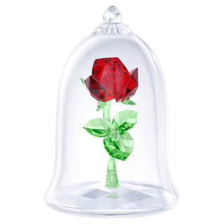 Enchanted Rose