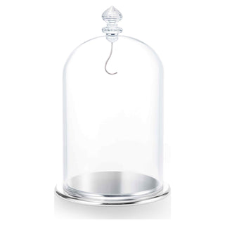 Bell Jar Display, large