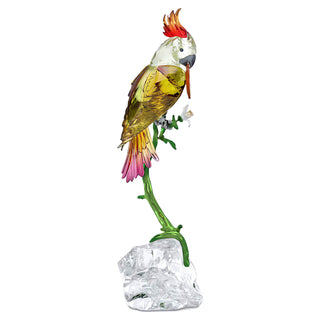 Idyllia Cockatoo