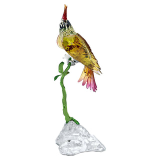 Idyllia Cockatoo