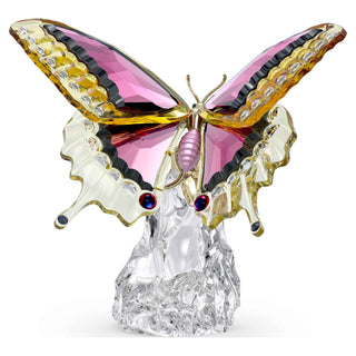 Idyllia Butterfly
