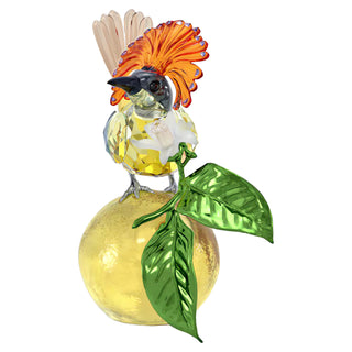 Idyllia Royal Flycatcher