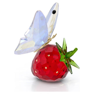 Idyllia Butterfly and Strawberry
