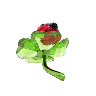 Idyllia Ladybug and Clover