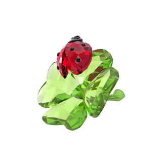 Idyllia Ladybug and Clover