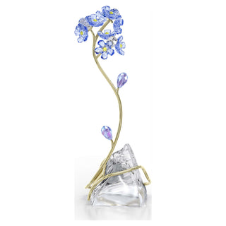 Florere Forget-me-not