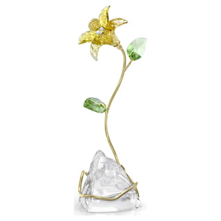 Florere Lily