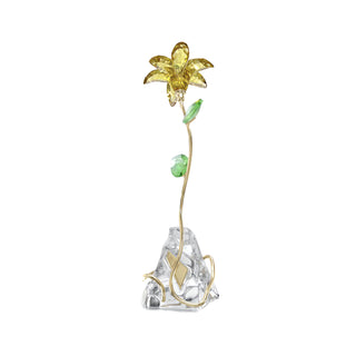 Florere Lily