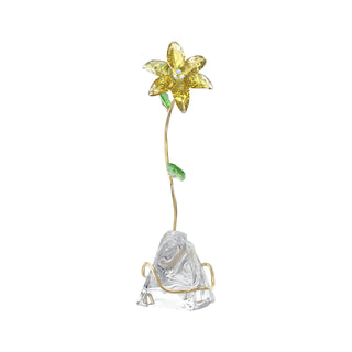 Florere Lily