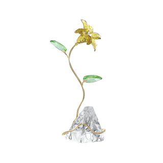 Florere Lily