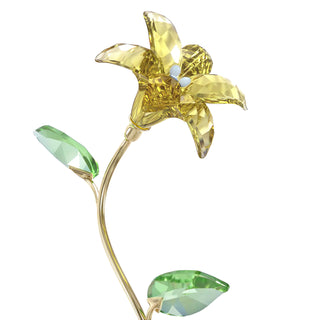 Florere Lily
