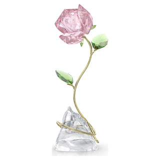 Florere Rose