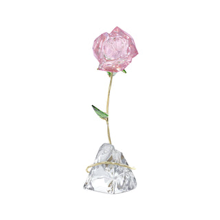 Florere Rose