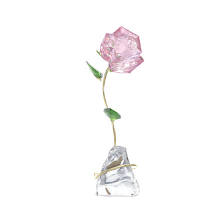 Florere Rose