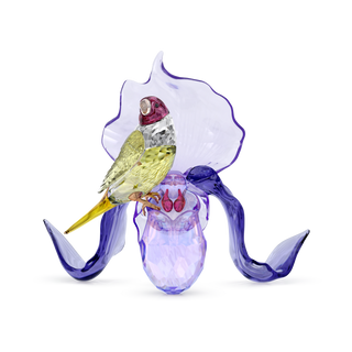 Idyllia Gouldian Finch and Orchid