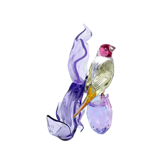 Idyllia Gouldian Finch and Orchid