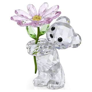 Kris Bear A Daisy for You