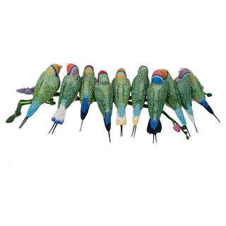 Crystal Myriad Gouldian Finches