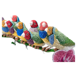 Crystal Myriad Gouldian Finches