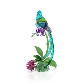 Idyllia Quetzal and Orchid