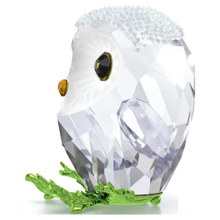 Idyllia Baby Owl