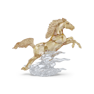 Asian Symbols Leaping Horse