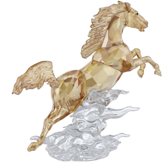 Asian Symbols Leaping Horse