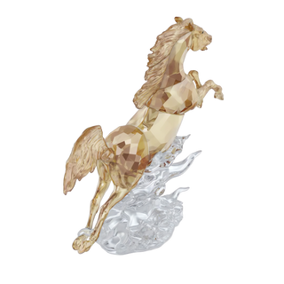 Asian Symbols Leaping Horse