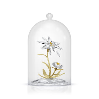 Florere 130th Anniversary Bell Jar