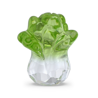 Asian Symbols Fortune Cabbage
