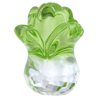Asian Symbols Fortune Cabbage