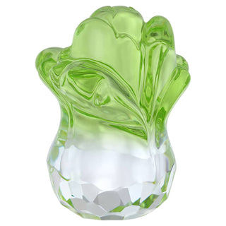 Asian Symbols Fortune Cabbage