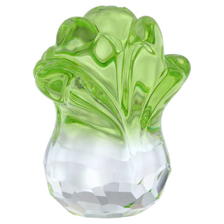 Asian Symbols Fortune Cabbage