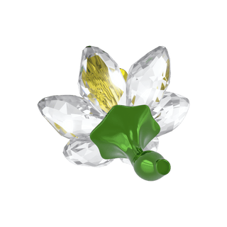 Florere Daffodil
