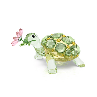 Idyllia Tortoise and Daisy