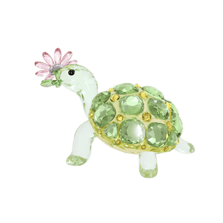 Idyllia Tortoise and Daisy
