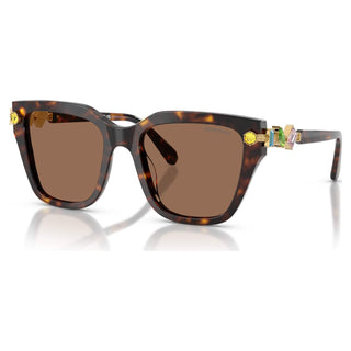 Sunglasses, Square shape, Brown