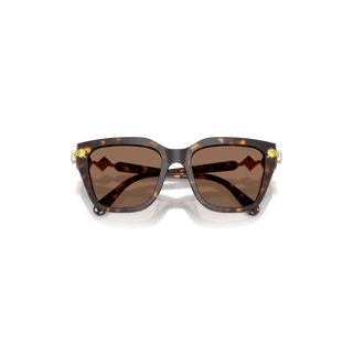 Sunglasses, Square shape, Brown