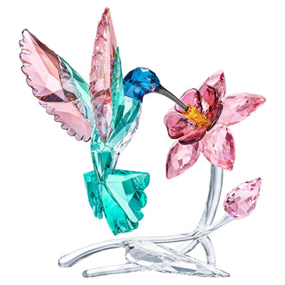 Hummingbird