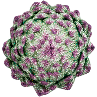 Crystal Myriad, Artichoke