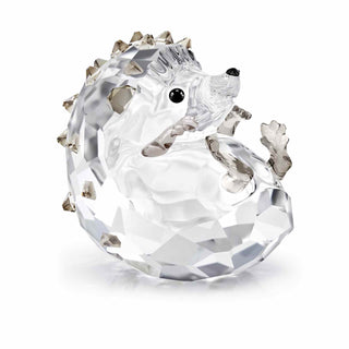 Idyllia, Hedgehog