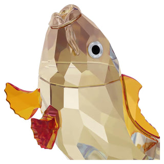 Asian Symbols, Golden Carp