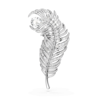 Vienna brooch, Mixed cuts, Feather, White, Rhodium plated