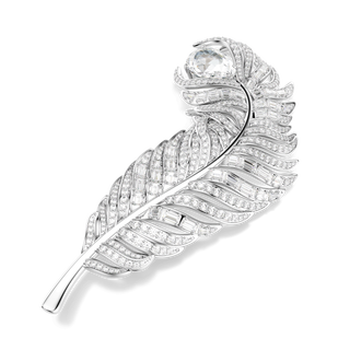 Vienna brooch, Mixed cuts, Feather, White, Rhodium plated