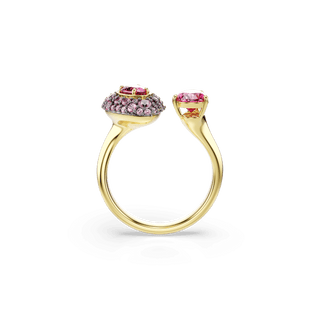 Sublima cocktail ring, Pear cut, Red, 18K gold finish