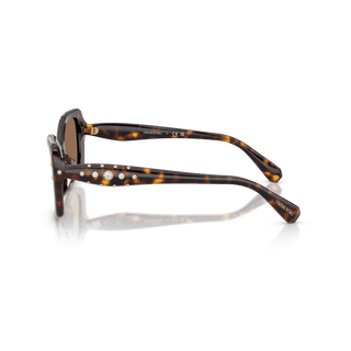 Sunglasses, Pillow shape, SK6058U, Brown