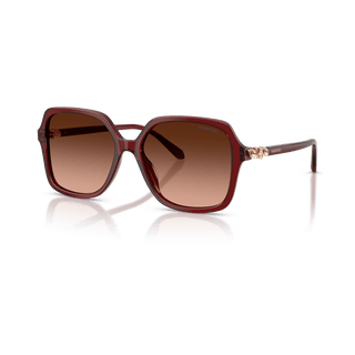 Sunglasses, Square shape, SK6067, Burgundy