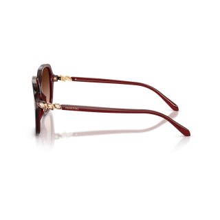 Sunglasses, Square shape, SK6067, Burgundy