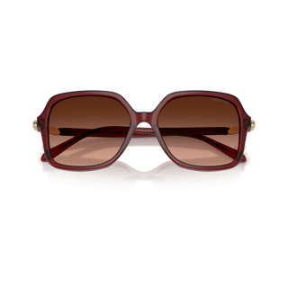Sunglasses, Square shape, SK6067, Burgundy