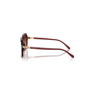 Sunglasses, Square shape, SK6067, Burgundy